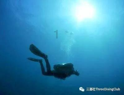 探索知识星球平台,解锁重庆再现“网红景点”,游客看到食欲大增,看完想吃火锅!的独特世界